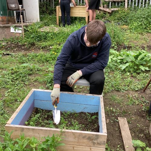 Aspire get growing at the allotment